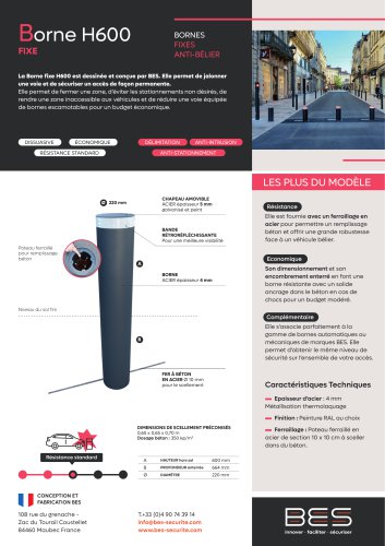 Borne H600