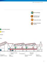 Ligne de pelage pour tomate - 5