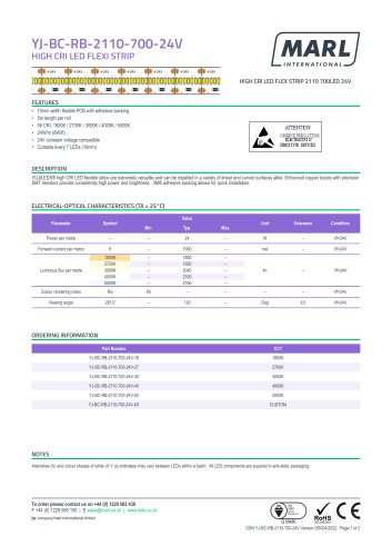 YJ-BC-RB-2110-700-24V