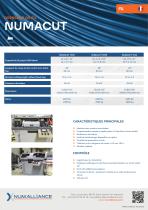 NUMACUT-2