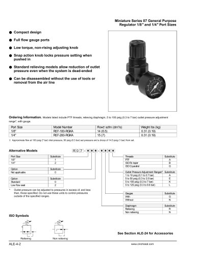 Air Regulator and Gauge Kit