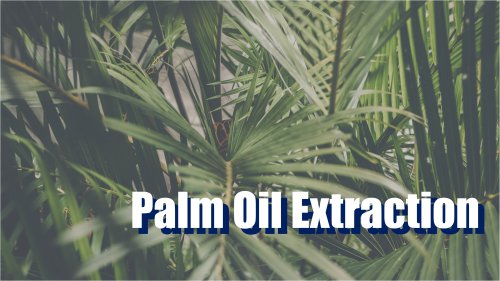 ZK Palm Oil Extraction Decanter - FB Series