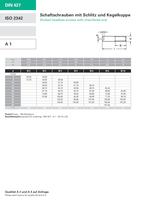 Slotted headless screws with chamfered end