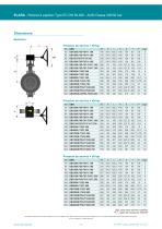 Robinet à papillon double excentrique Elara - casted/ANSI cl. 300 - 4