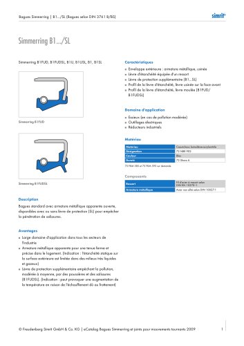 Simmerring B1.../SL