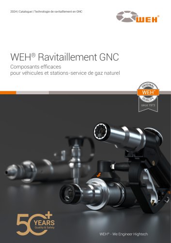 Système complet de ravitaillement pour gaz naturel