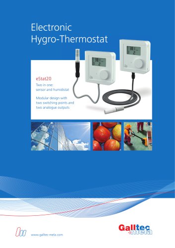 Flyer electronic thermohumidistat eStat