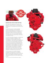 2013 Heavy Duty Coverage Brochure - 5