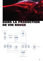 Production du vin - 6