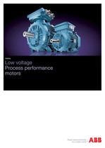 Low Voltage Process Performance Motors