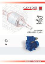 Moteur Atex E Cste B Ie Cantoni Motor Phases Induction V