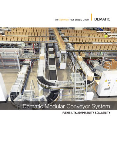 Dematic Modular Conveyor System