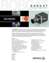 IGV-B4020