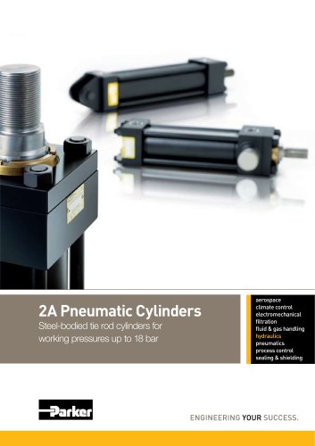 2A Pneumatic Cylinders