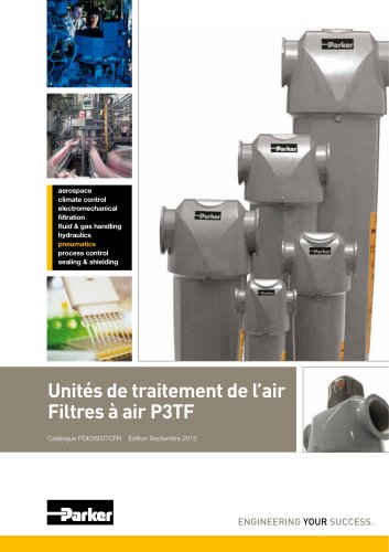 Unités de traitement de l’air  Filtres à air P3TF