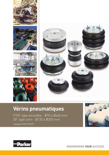 Vérins pneumatiques