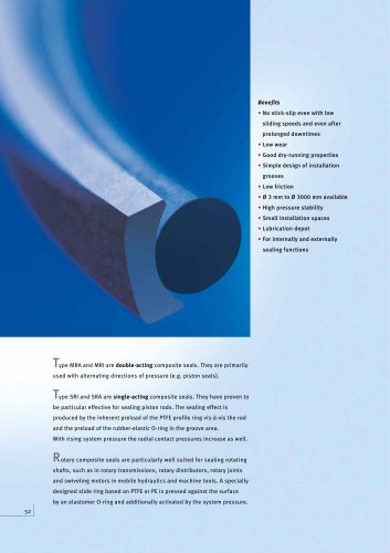 Composite Seals PTFE