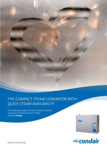 THE COMPACT STEAM GENERATOR WITH QUICK STEAM AVAILABILITY