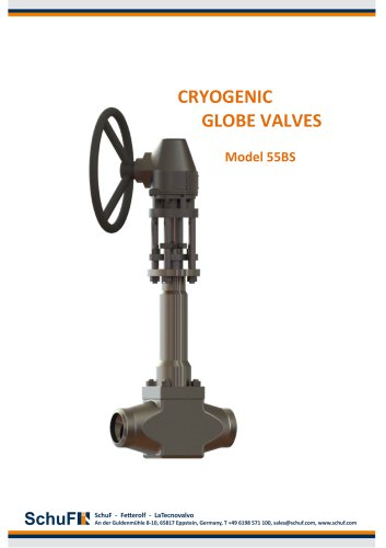 Cryogenic Globe Valve