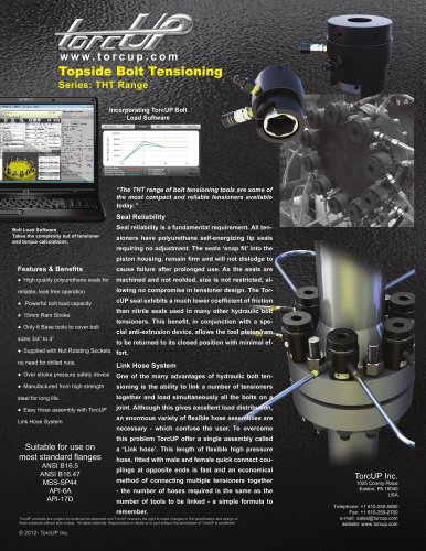 TORCUP TOPSIDE BOLT TENSIONING