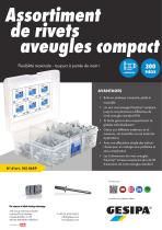 Assortiment_de_rivets_compact - 1