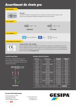 Informations_sur_le_produit_Assortiment_de_rivets_pro - 2