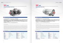 EXPLOSION PROOF VARIABLE FREQUENCY SPEED REGULATION THREE-PHASE ASYNCHRONOUS MOTOR  YBBP SERIES