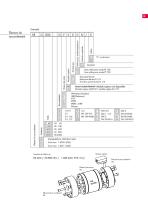 Débitmètres volumétriques RS-19