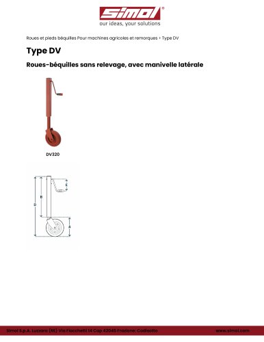 Type DV