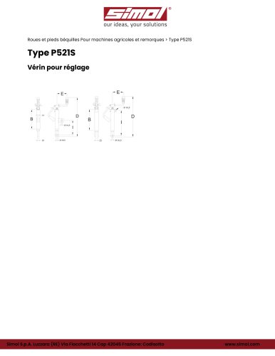 Type P521S