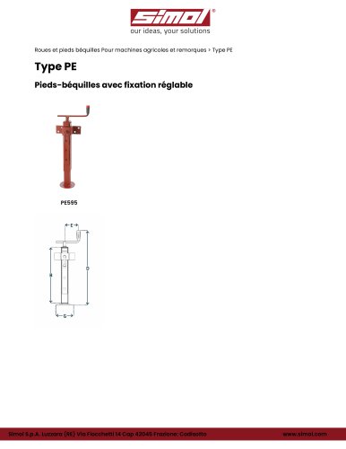 Type PE