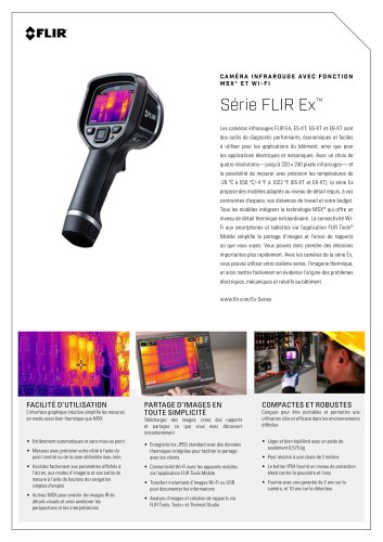 Série FLIR Ex™