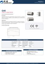 G40