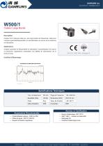 W500-1-1