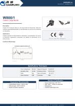 W800-1