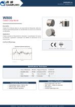 W800-1
