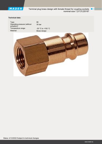 Terminal plug brass design with female thread for coupling sockets nominal size 7,2/7,8 220167