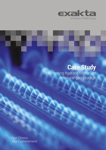 Case Study Preventing hydrate formation in natural gas storage