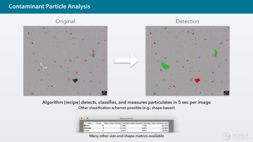 Contaminant Particle Analysis