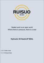 RUISUO OIL SEAL - 1