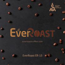 EverRoast ER-15