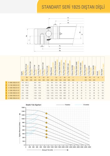 SINGLE ROW BALL BEARING WITH EXTERNAL GEAR Ø1000-Ø1600