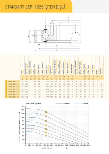 SINGLE ROW BALL BEARING WITH INTERNAL GEAR Ø955-Ø1555