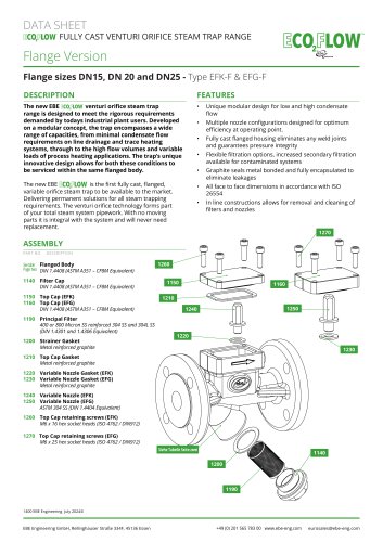 Flanged DN15 to DN25