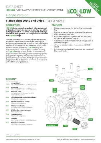 Flanged DN40 to DN50