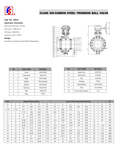 CLASS 300 CARBON STEEL TRUNNION BALL VALVE