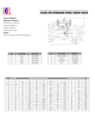 CLASS 600 STAINLESS STEEL CHECK VALVE