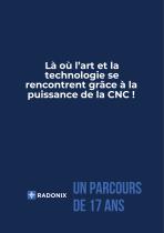 Radonix Controller Package - 10