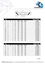 Division Meules diamant et C.B.N - 12