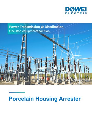 Dowei Electric Porcelain Housing Arrester YW
